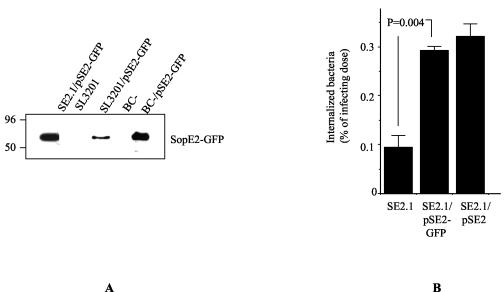 FIG. 5.