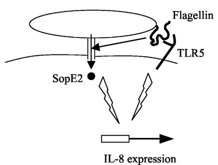 FIG. 7.