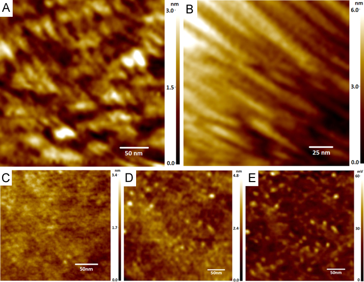 Fig. 3