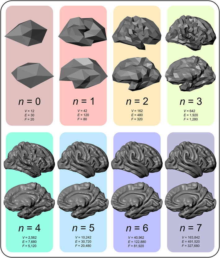 FIGURE 3