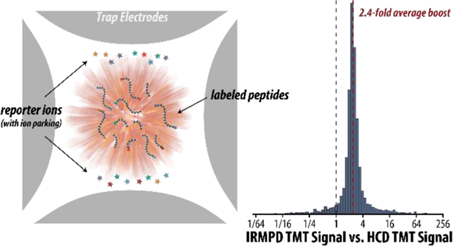 graphic file with name nihms-1785599-f0001.jpg