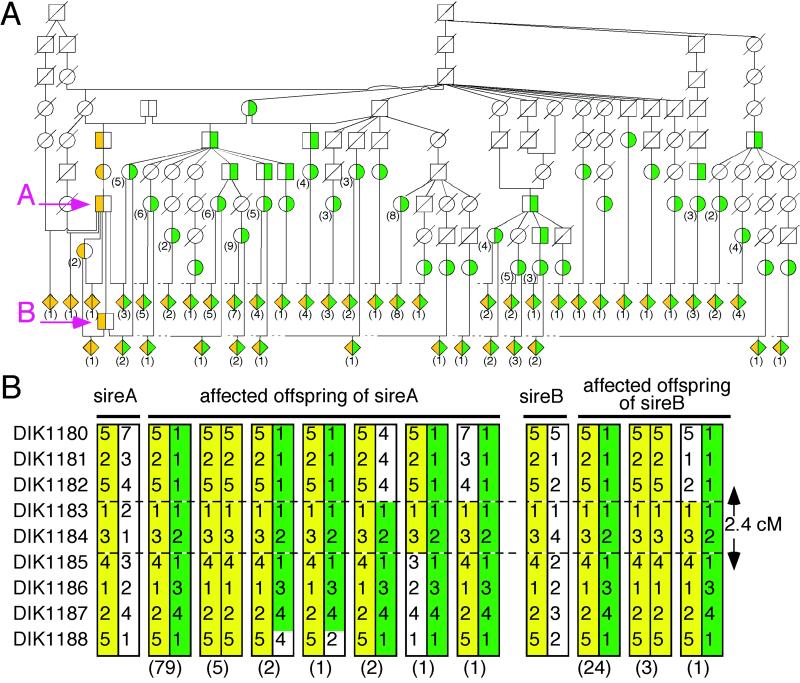 Fig 2.