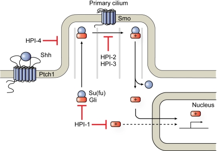 Fig. 6.