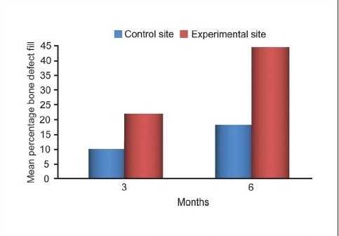 Graph 5