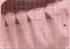 Figure 2b