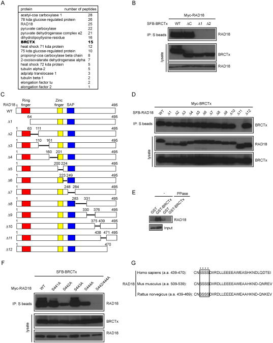 Fig.2