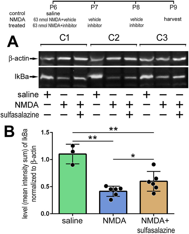 Fig. 3.