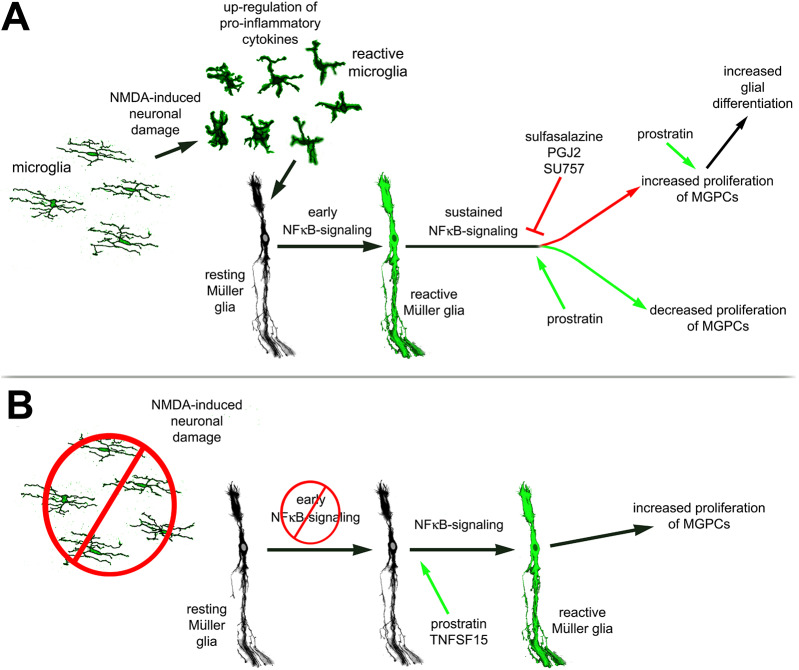 Fig. 11.