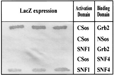 FIG. 5