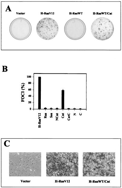 FIG. 7