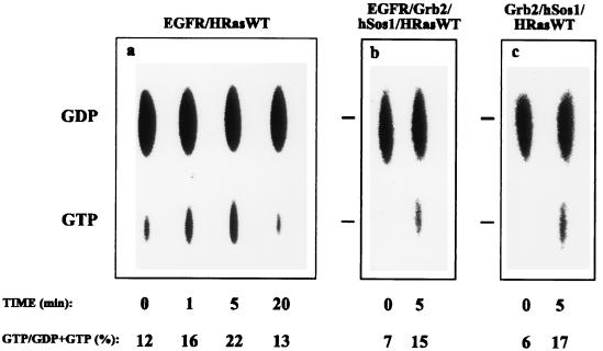 FIG. 6