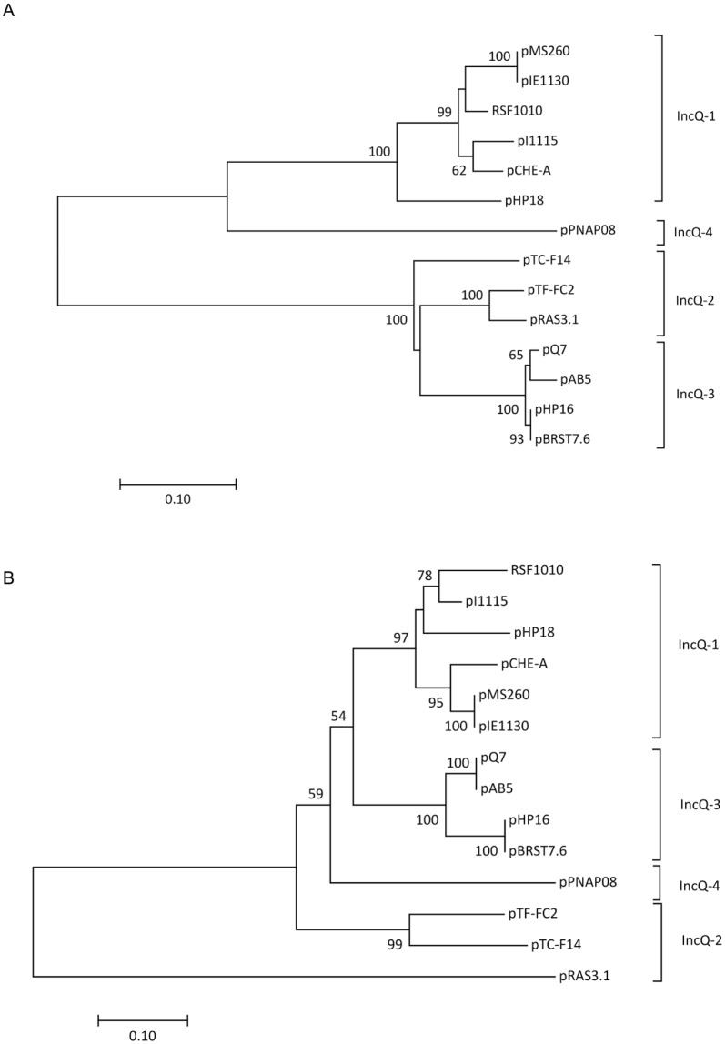 Fig 5