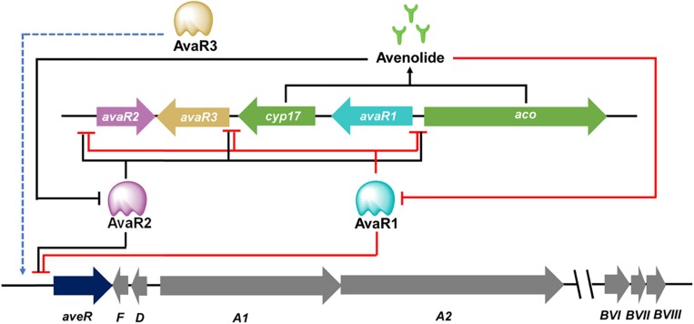 FIGURE 3