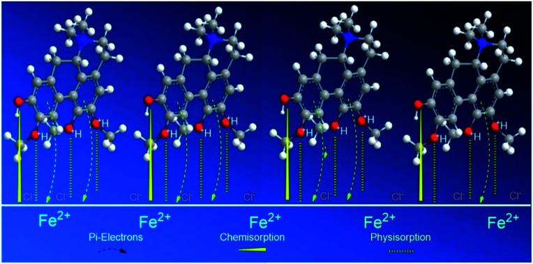 Fig. 10