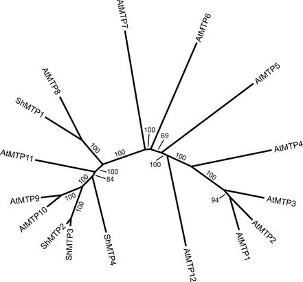 Figure 2.