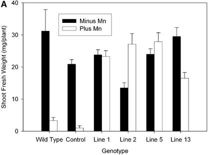 Figure 6.