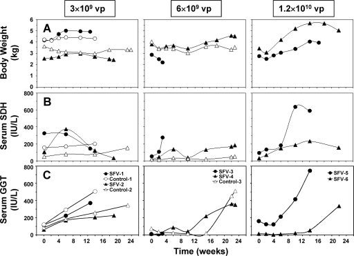 FIG. 6.