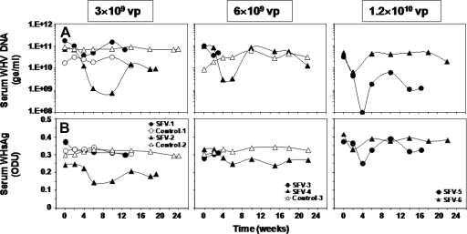 FIG. 4.