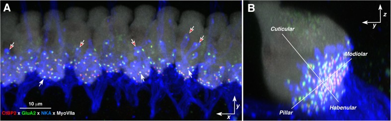 FIG. 4