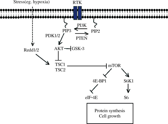 Fig.1