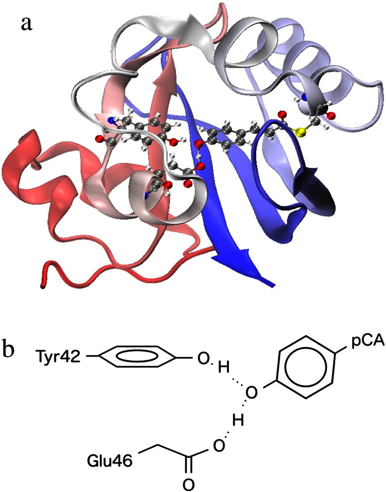 Fig. 1