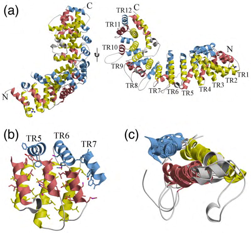 Fig. 3