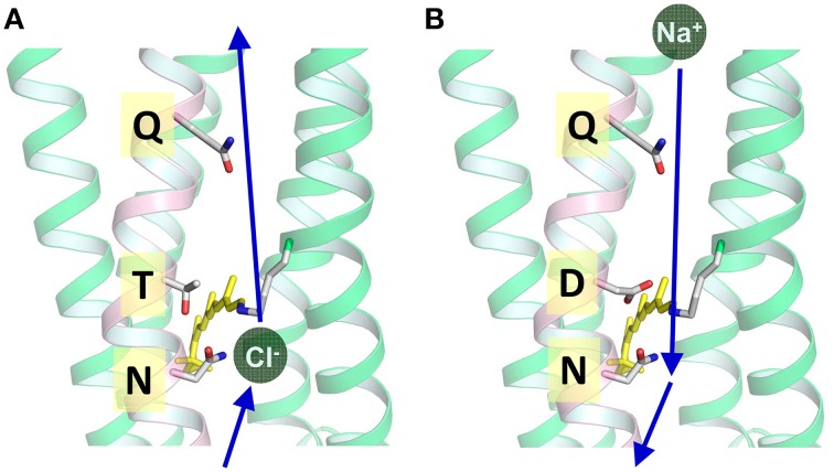 Figure 11