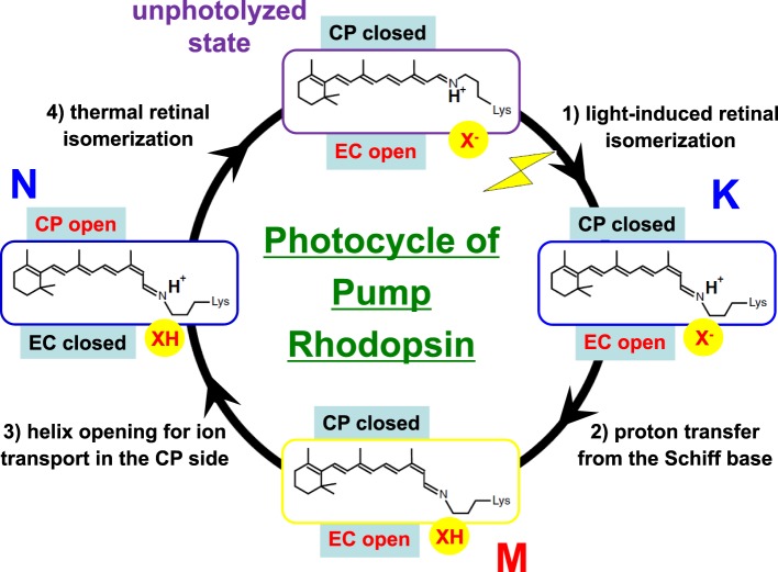 Figure 9