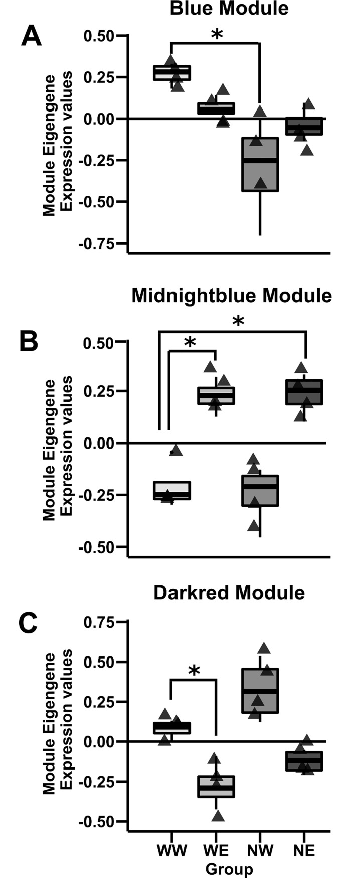 Fig 9