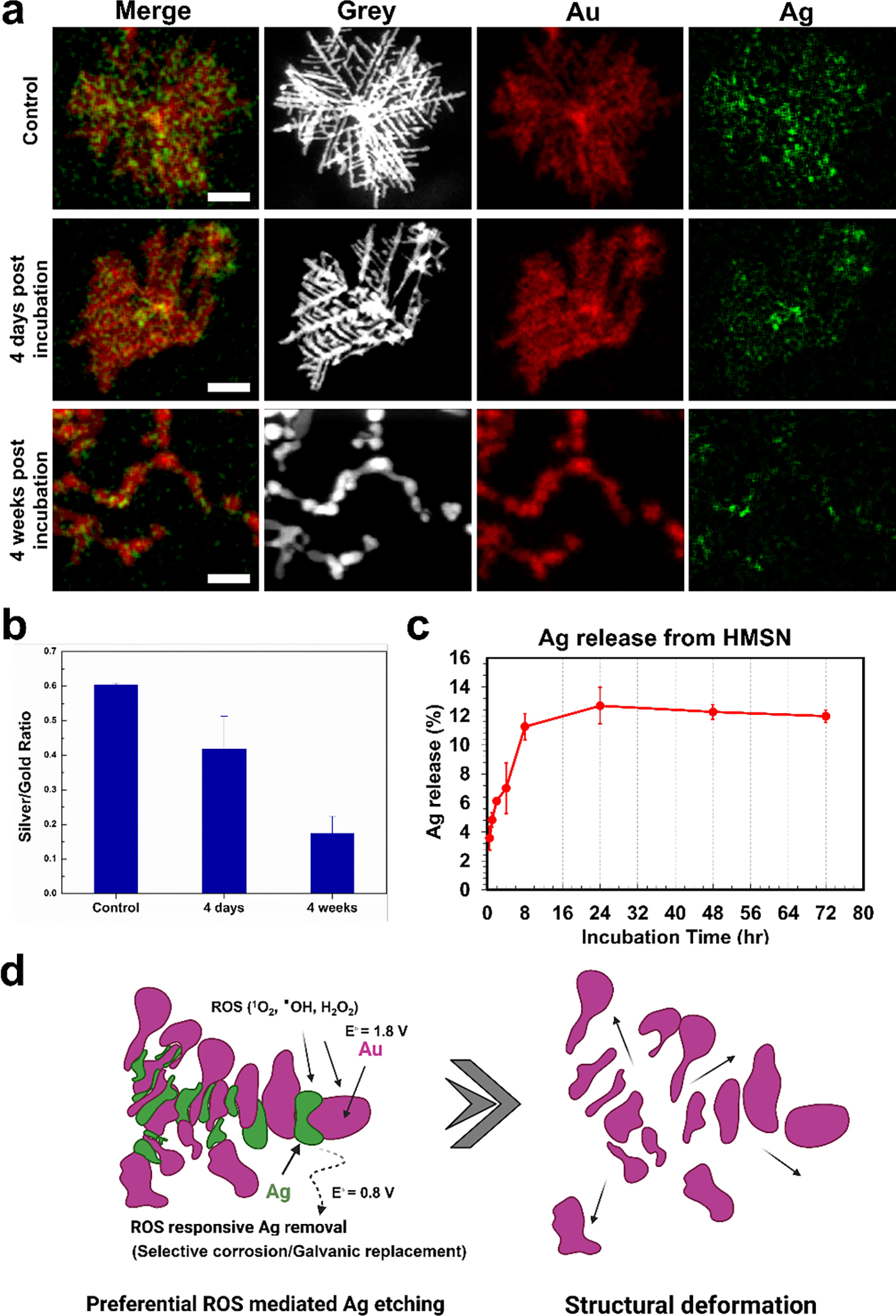 Figure 2.