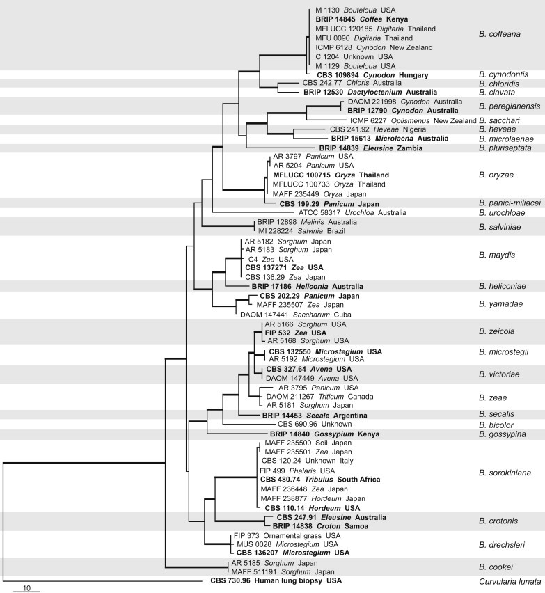 Fig. 1