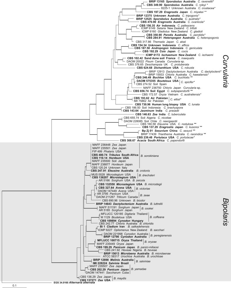 Fig. 2