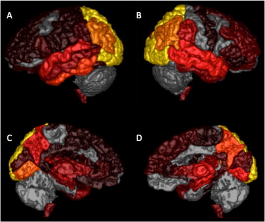 Fig. 1