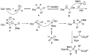Scheme 29