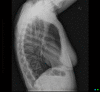 Fig. 3 –