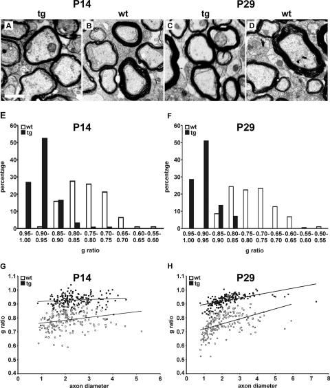 FIG. 11.