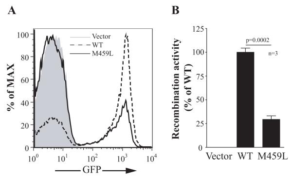 FIG 1