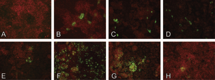 Figure 4