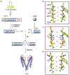 Figure 45.