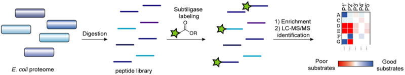 Figure 27.