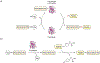 Figure 28.
