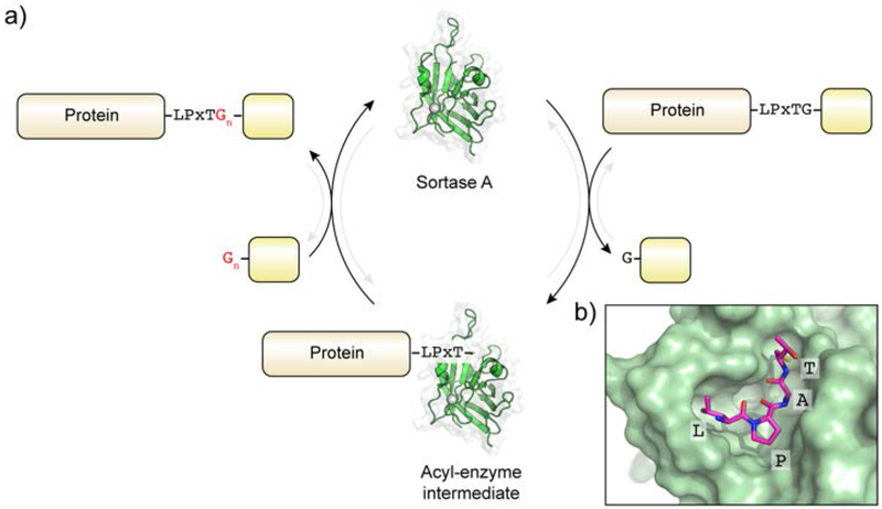 Figure 19.