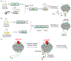 Figure 47.