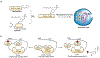 Figure 56.