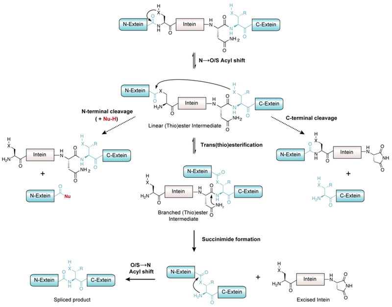 Figure 10.