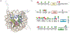 Figure 33.