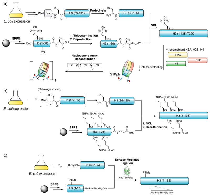 Figure 34.