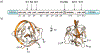 Figure 16.