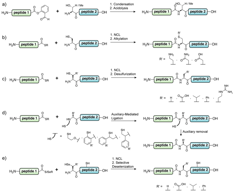 Figure 12.