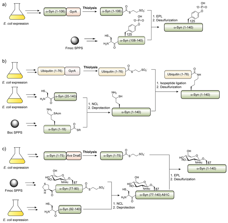 Figure 41.